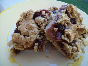 Fig and Plum Crumble Bars