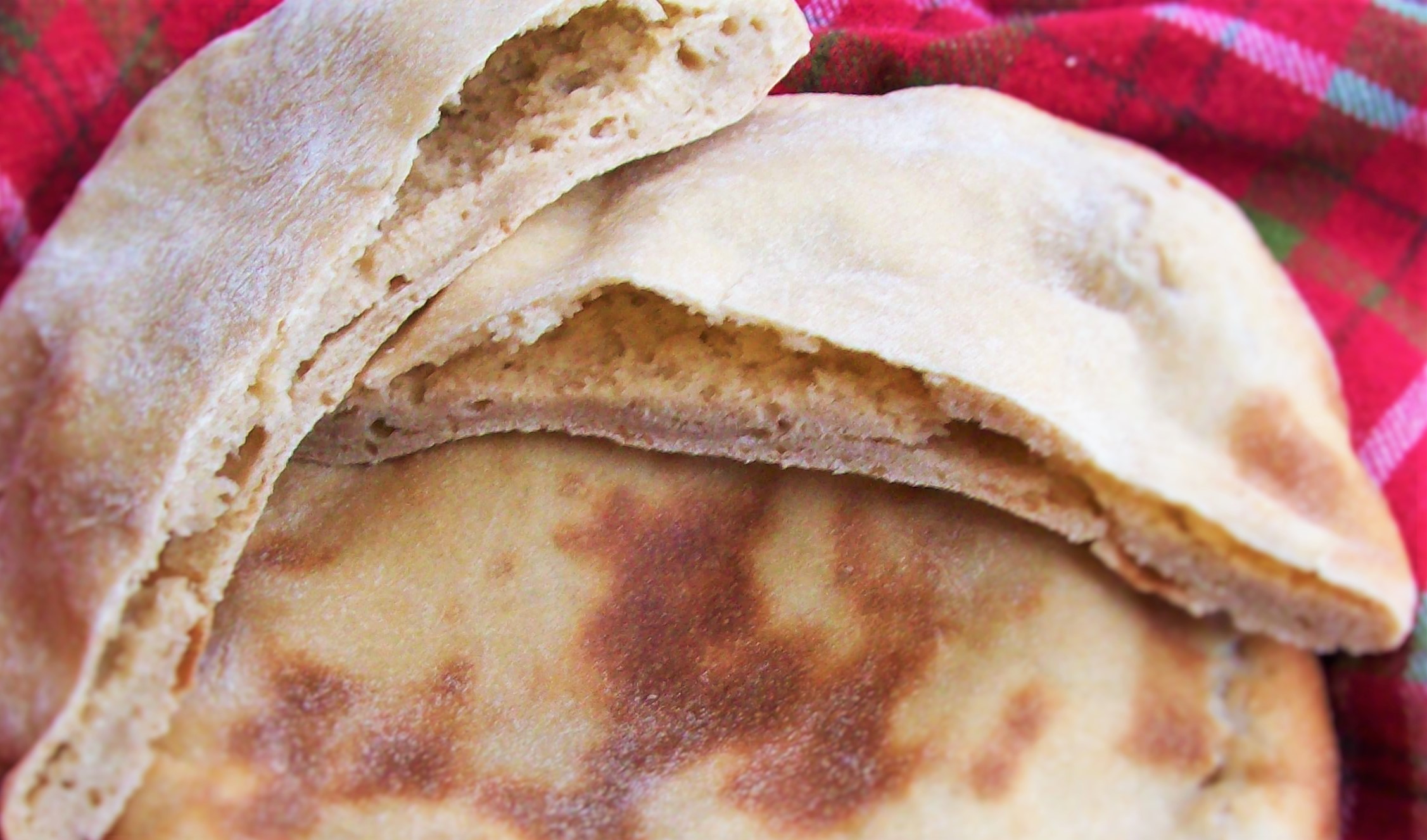 Sourdough Pitas | Red, Round, or Green